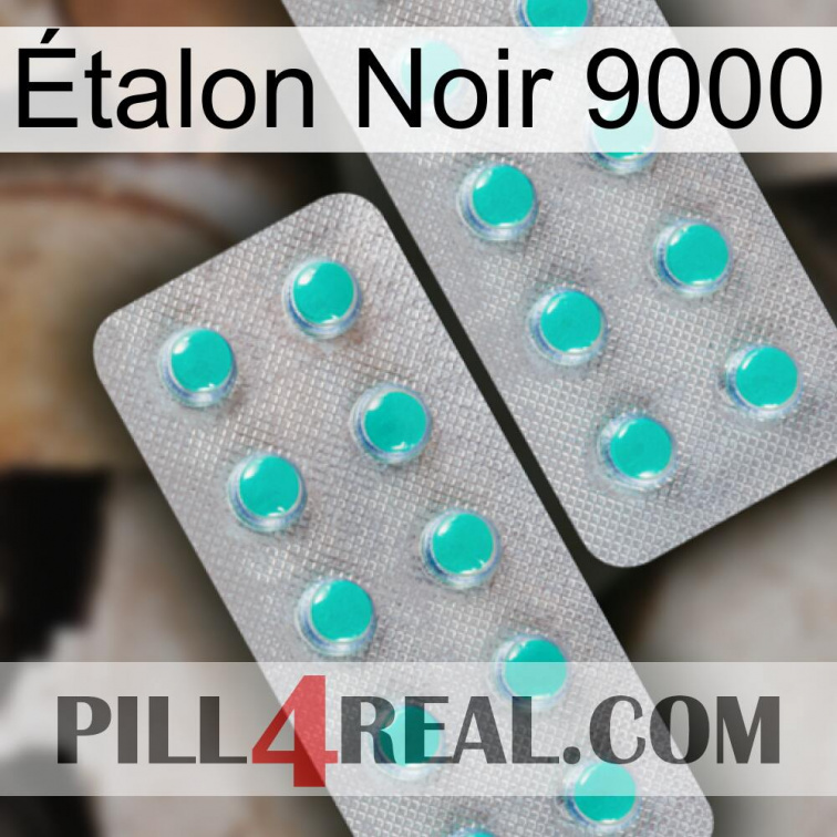 Étalon Noir 9000 29